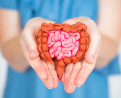 Gut Health Hacks: Improving Digestion and Mental Well-being