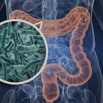 Gut Microbiome Analysis